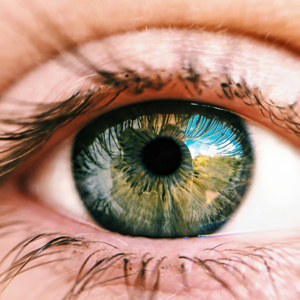 What Does Eye Care Mean and Why Is It Important for Healthy Vision? | clickshopfy.in